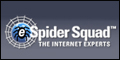 eSpider squad Franchise