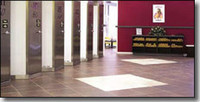 Hollywood Tans Franchisee Image 2