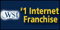 WSI Internet Franchise