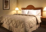 Comfort Inn Franchisee Image 2