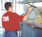 Fish Window Cleaning Franchise Review