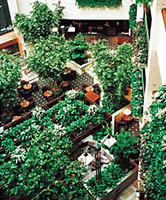 Foliage Design Systems Franchisee Image 2