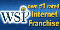 WSI Internet Marketing Franchise