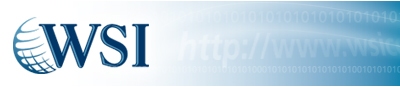 WSI Internet Marketing Franchise