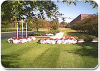 US Lawns Franchise Image 1