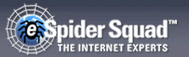 eSpider squad Franchise