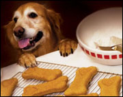 Just Dogs Gourmet Franchise Image 1