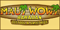 Maui Wowi Ice Cream & Smoothie Franchise Opportunities