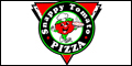 Snappy Tomato Pizza Franchise